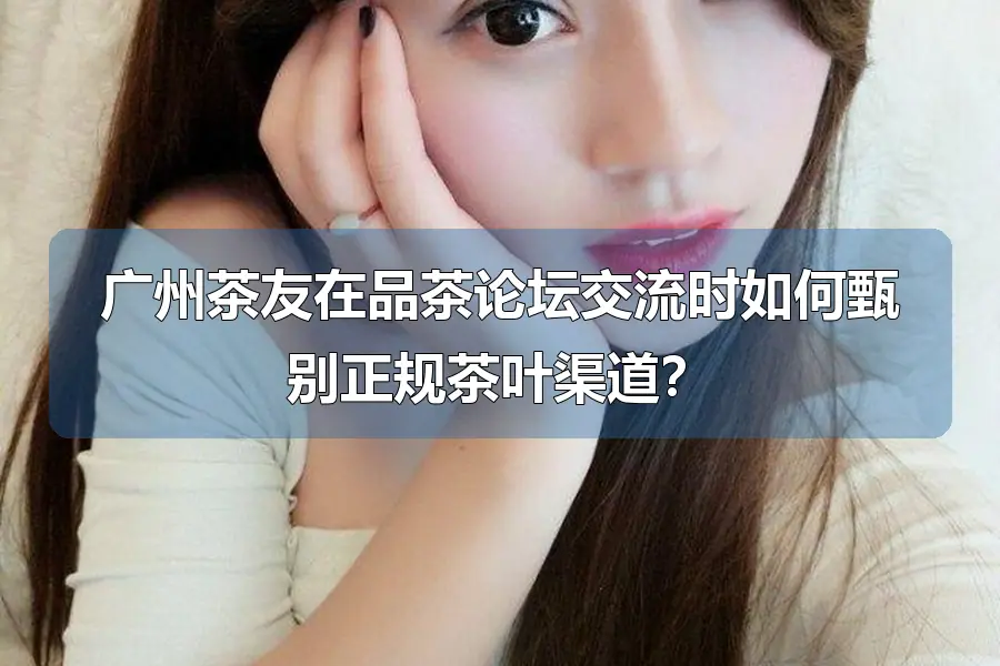 广州茶友在品茶论坛交流时如何甄别正规茶叶渠道?